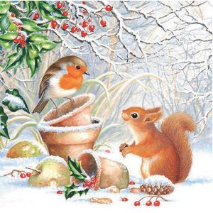 Servietter Jul/Vinter