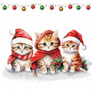 Hovedbilde Lunsj serviett, S&oslash;te og ...